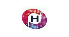 广州游莱 logo