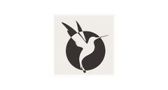蜂鸟于飞 logo