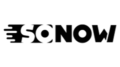 速诺科技 logo